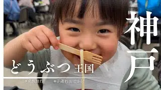【子連れおでかけ】神戸どうぶつ王国