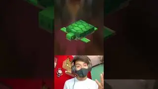 Top best Minecraft Facts that you don't know before #minecraft #shorts #factsinhindi