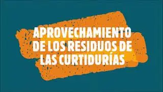Solución ambiental para residuos del proceso de curtido de pieles. Universidad De la Salle Bajío.