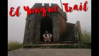 A hiking day in El Yunque
