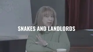 More Than One Story - Snakes And Landlords