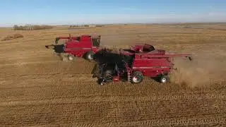 Seidel Farm 2019