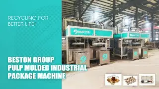 Pulp Molded Industrial Package Machine - Live Operation