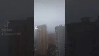 29 ноября 2021 г.