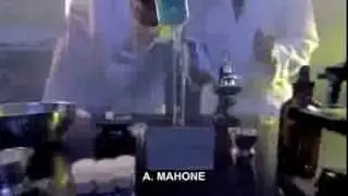 Parodia de What About Love