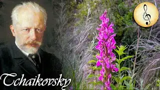 Tchaikovsky - Waltz of the Flowers (The Nutcracker Suite) | Best Classical Music