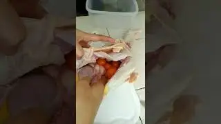 Telor kecilnya banyak 