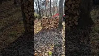 Stacking firewood! 