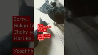 Yeaahhh sah melewati masa kritis melawan virus mematikan, Panleu