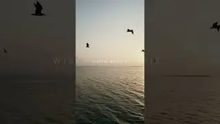 Listen my track ,, Wistful Reverie,,