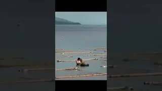 #фильм