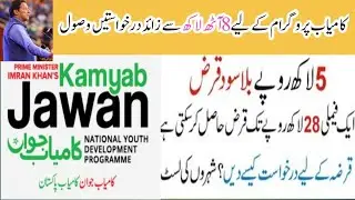 Received more than 800,000 applications under the Successful Youth Program