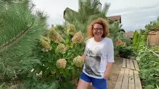 САД ДУШИ И СЕРДЦА🌞В гостях у сестры Ирины💝