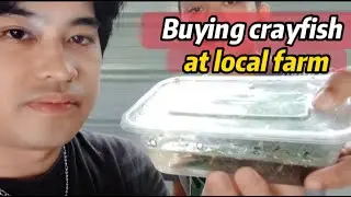 Buying Crayfish at local farm