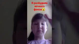 вы помните ночного фокси😔
