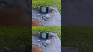 solo picnic date in the forest  #vlog #travel #picnic #fashiontrends #foodie