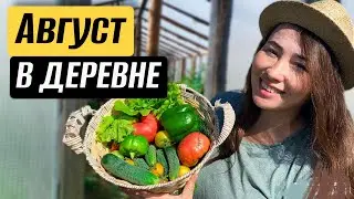 КАК МЫ ЖИВЕМ В СЕЛЕ: насыщенные будни молодых фермеров