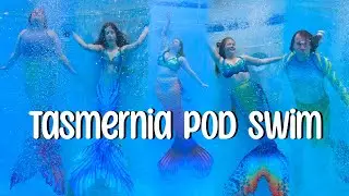 A pod of mermaids swimming in a beautiful pool! - Tasmernia Pod Swim