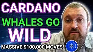 24 Hour CARDANO Price Boom Ahead Now