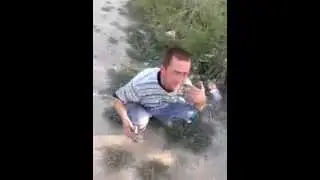 Басни Крылова отдыхают