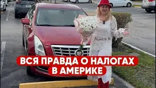 НАЛОГИ В США. Как правильно подать налоговую декларацию.