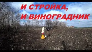 64. КУПИЛИ УСАДЬБУ, ВОССТАНАВЛИВАЕМ! Сажаем виноград впятером!