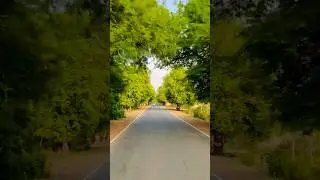 Village Road