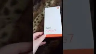 НОВЫЙ МОНСТОР