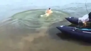 Рыба   сосун
