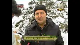 Gerede de İstiridye Mantarı