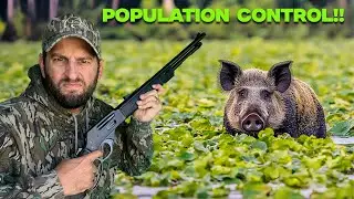 Taking Out INVASIVE Species by ANY MEANS NECESSARY (Hunting Compilation)