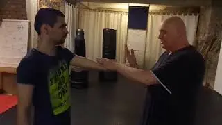 Yang Style Tai Chi Chuan - Repulse The Monkey