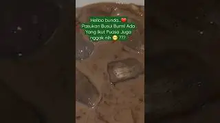 Hmm, Busui Baiknya Puasa Atau nggak yah bun ??? jadi galau 