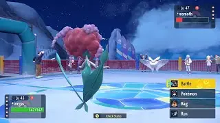 Wild Tera Run #3 | Pokémon Violet