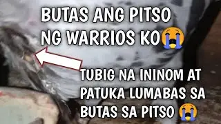 Butas pitso ng ating warrios😭