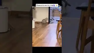 Переиграл и уничтожил!