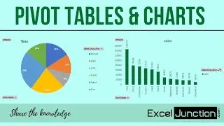 Introduction to PIVOT TABLES & CHARTS | ExcelJunction.com