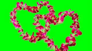Marriage Love Effects | Green screen Video | Green Screen Effects | VFX Animation