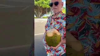 Гавайские Кокосы