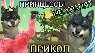 WildCraft Прикол |Принцессы не храпят| 👑💞😂