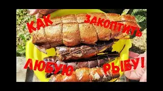 Как закоптить любую рыбу!