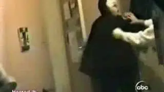 funny videos