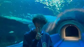 Please Stay Short Film BTS 2 - Aquarium Shoot!