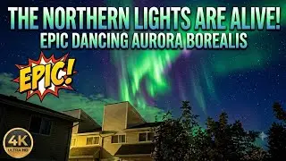 Beautiful Creature of God | Nature Light Show 10/07/2024 Dancing Aurora Borealis