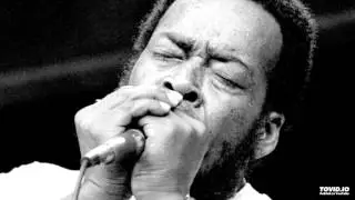 JAMES COTTON - Rocket 88 [LIVE 1967]