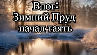 Удивительное шоу природы: Зимний пруд , лед тает на глазах-ВЛОГ