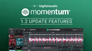 Momentum 1.2 Update Features