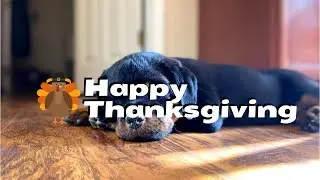 Kenzie On Thanksgiving!