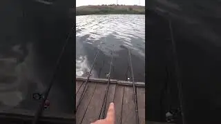 Поклёвка или ветер? #рыбалка #fishing #карась #донка #shorts