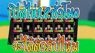 สุ่ม12ชั่วโมงเต็ม กับอัพเดต10!! | Anime Fighters Simulator